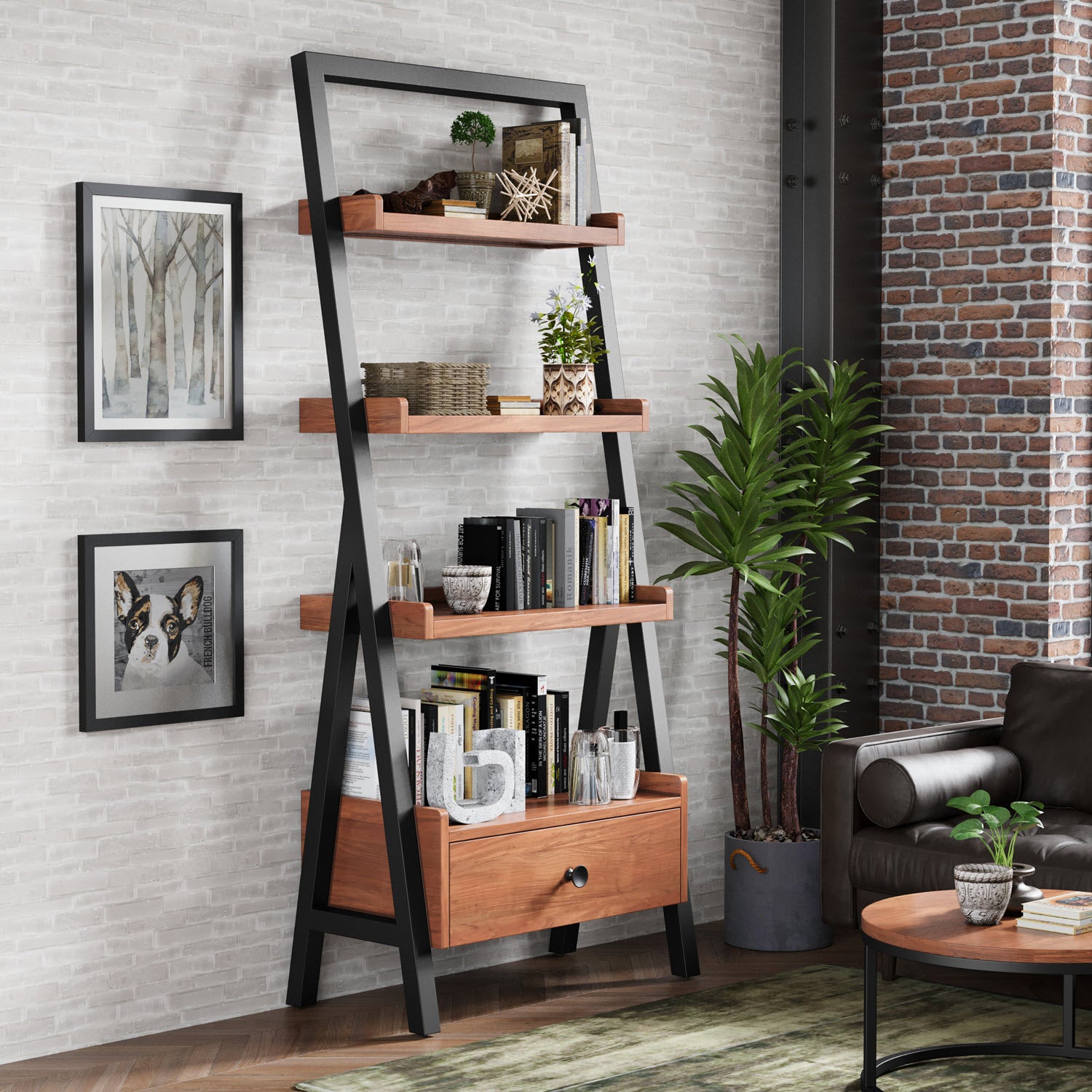 shelf cameo