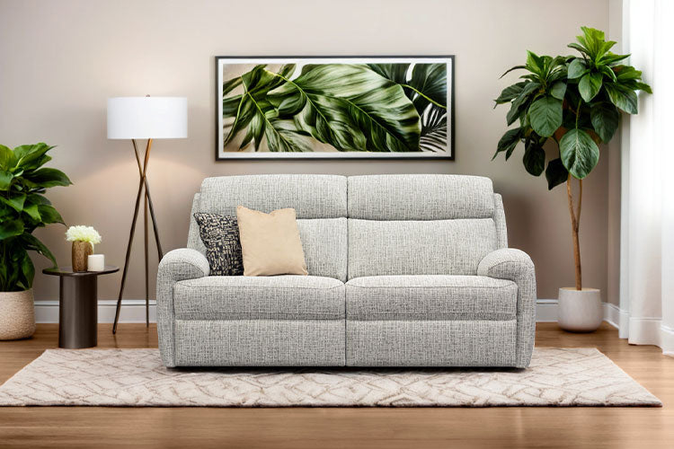 Gray sofa in a living room with plants and a framed picture on the wall.